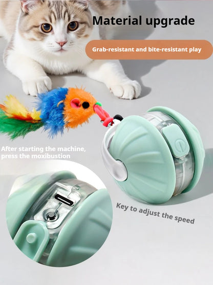 Juguete Interactivo para Gatos con Cola Automatica - Sensor Infrarrojo 360 grados